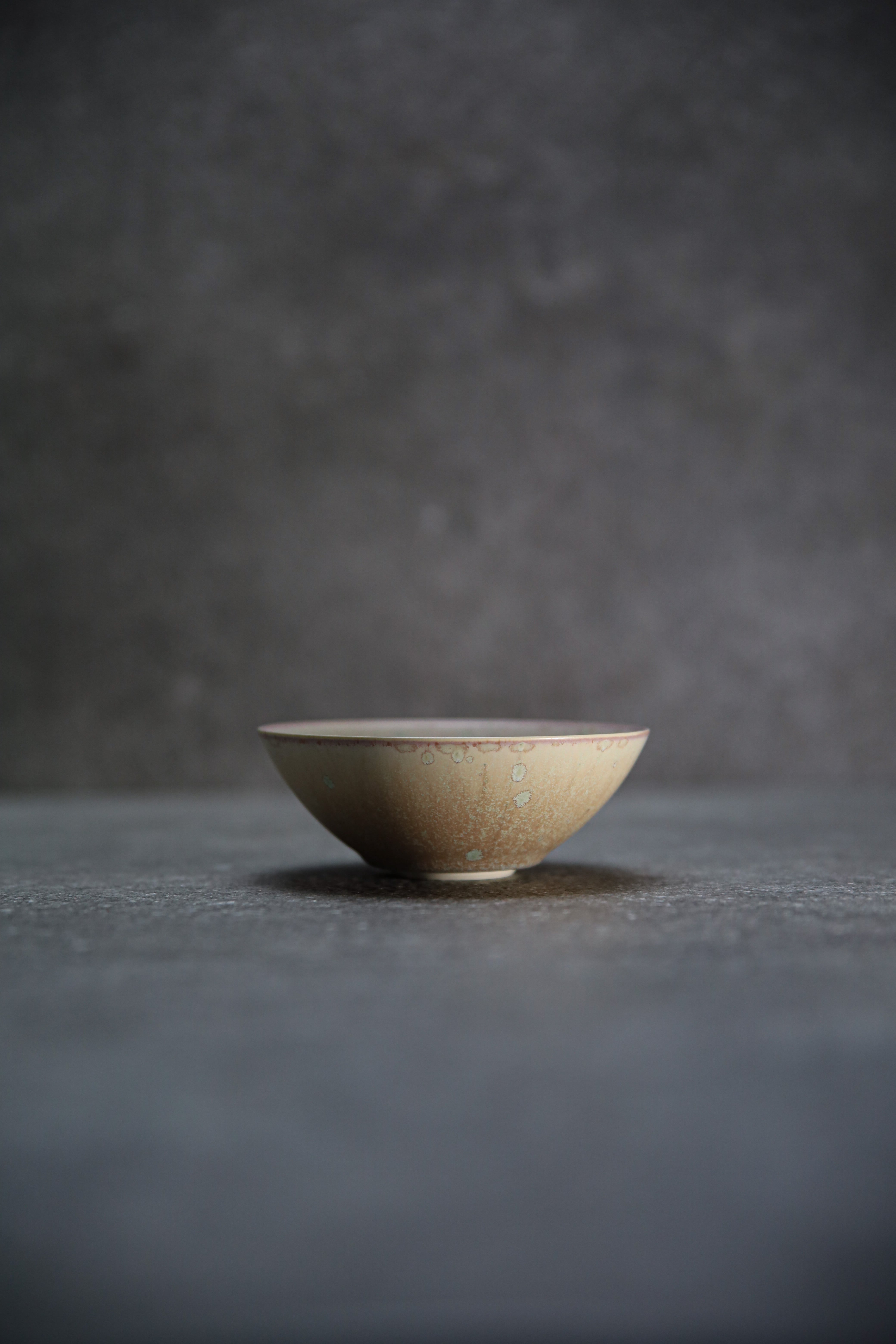 bowl -victor- S